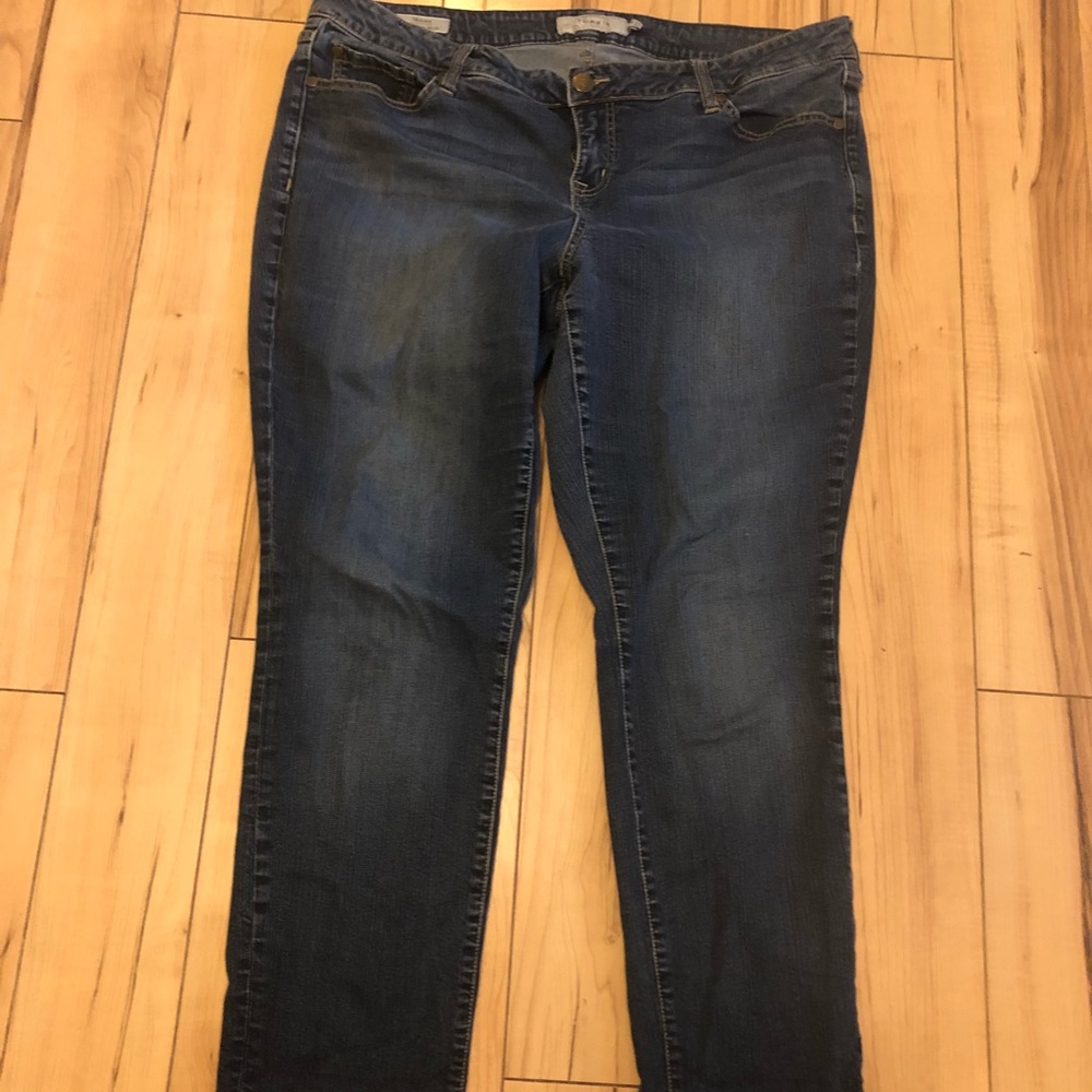 Torrid Jeans